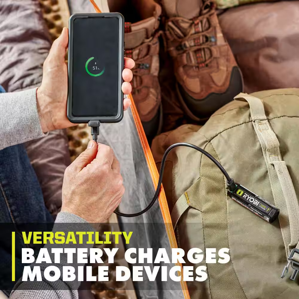 USB Lithium 3.0 Ah Lithium-Ion Rechargeable Battery (2-Pack)