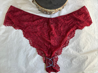 ASOS Curve Sienna Lace High Waist Brazilian Panties Plus Size 22