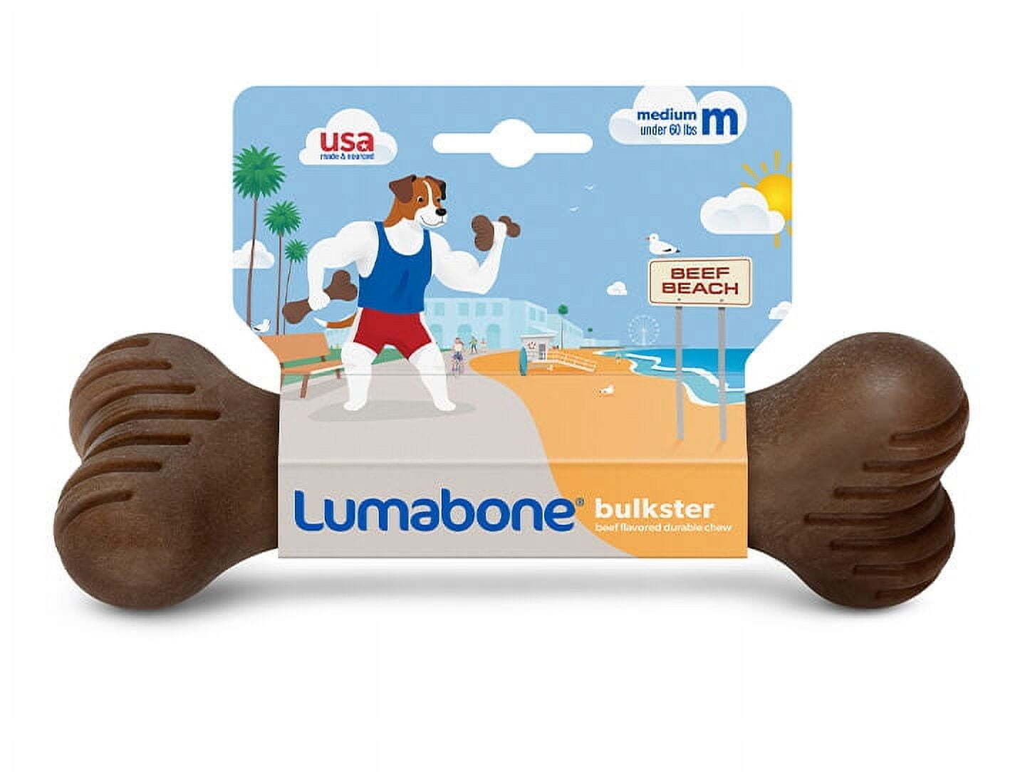 Durable Real Beef Dog Chew Toy for Medium Dogs - Bulkster