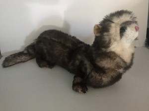 folkmanis ferret puppet