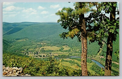 Postcard - Pine Creek from Lebo Vista, Pennsylvania - ca. 1960s, Unposted (M9k)