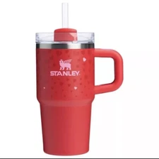 Stanley X Target Exclusive Red Valentine 20oz  Tumbler IN HAND