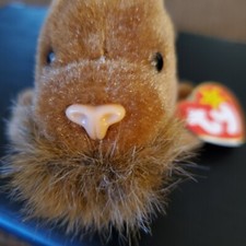 Ty Beanie Baby Plush Animal Jolly Walrus Style  1996 with Tag Errors