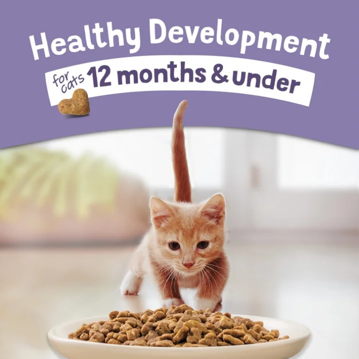 Purina Kitten Chow Healthy Development, Indoor Dry Kitten Food