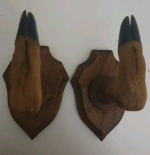 2 Porte-manteaux Ou Porte Fusils  En Pattes De Chevreuil /biche Et Bois Massif