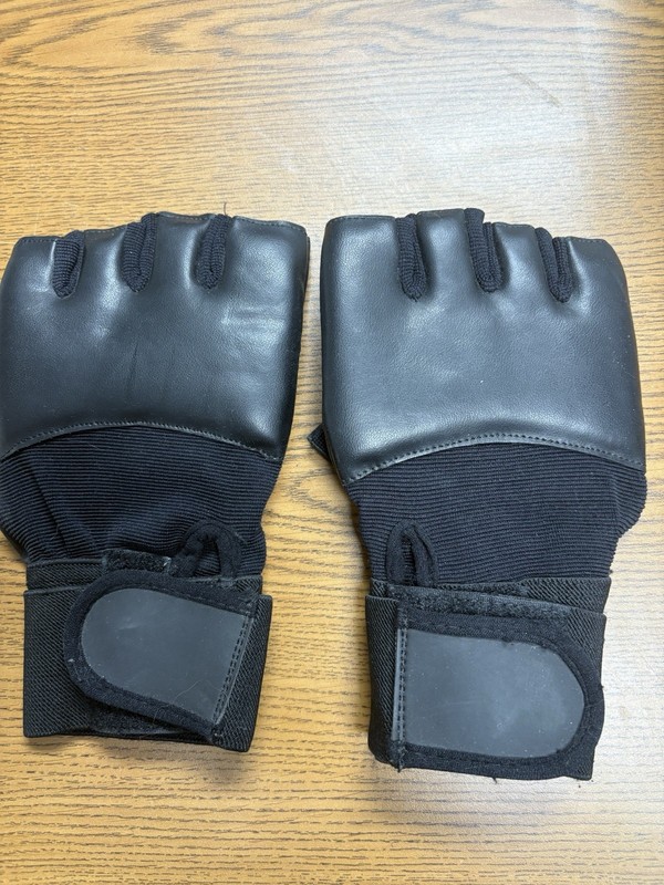 Pair Of Fingerless Martial Arts Gloves