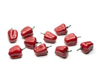 Puppenstube ZubehöR 10X Paprika Miniblings GemüSe KüChe Essen Puppenhaus Rot