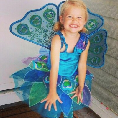 NWT GYMBOREE 12-18 MONTHS PEACOCK FAIRY COSTUME/WINGS/HAT/TIGHTS 4 PIECE  LOT SET | eBay