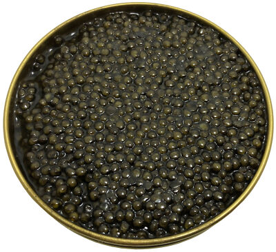   100g Stör Kaviar Osietra Delikatesse Malossol Aquakultur Dose Rogen Sturgeon  