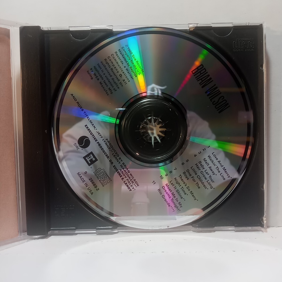 Brian Wilson – Brian Wilson - CD 117 | eBay