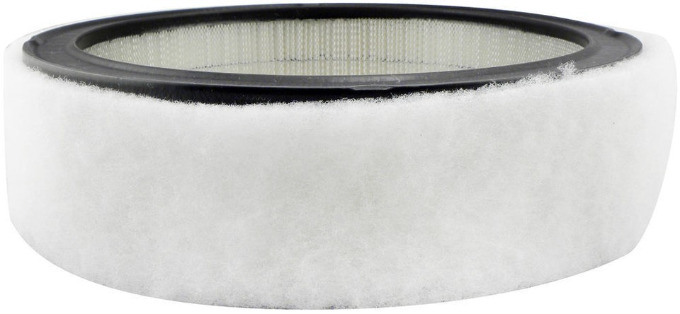 Air Filter Baldwin PA2073 2 Units K0718 eBay