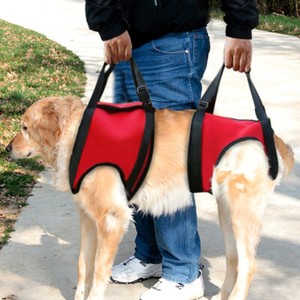dog sling large