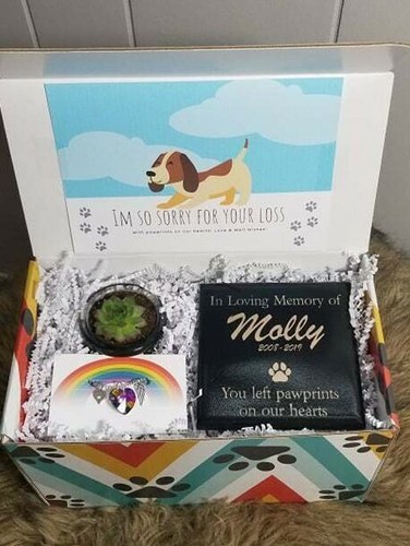 Pet Memorial Sympathy Geschenkarrangement | Katze oder Hund personalisiert | Regenbogenbrücke - Bild 6 von 10