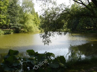 Foto 6x4 Der Fischteich, Holbrook Gardens Lower Holbrook um 2009