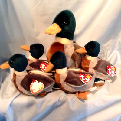 Jake Ty Beanie Buddy & 4 Jake Ty Beanie Babies Lot of 5 Retired Mallard $59.99