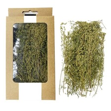 Cayway Miniature Shrubs Model Bushes Long Shrub Vegetation Groups Static Grass T