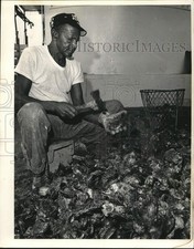 1967 Press Photo Oysters being culled by Milton Scott for eventual marketing