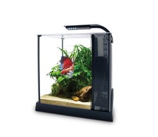 Rectangle (Standard) Glass Tank Fresh Water Aquariums Tanks for