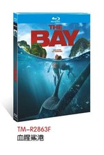 The Bay  (2026)： 1-D