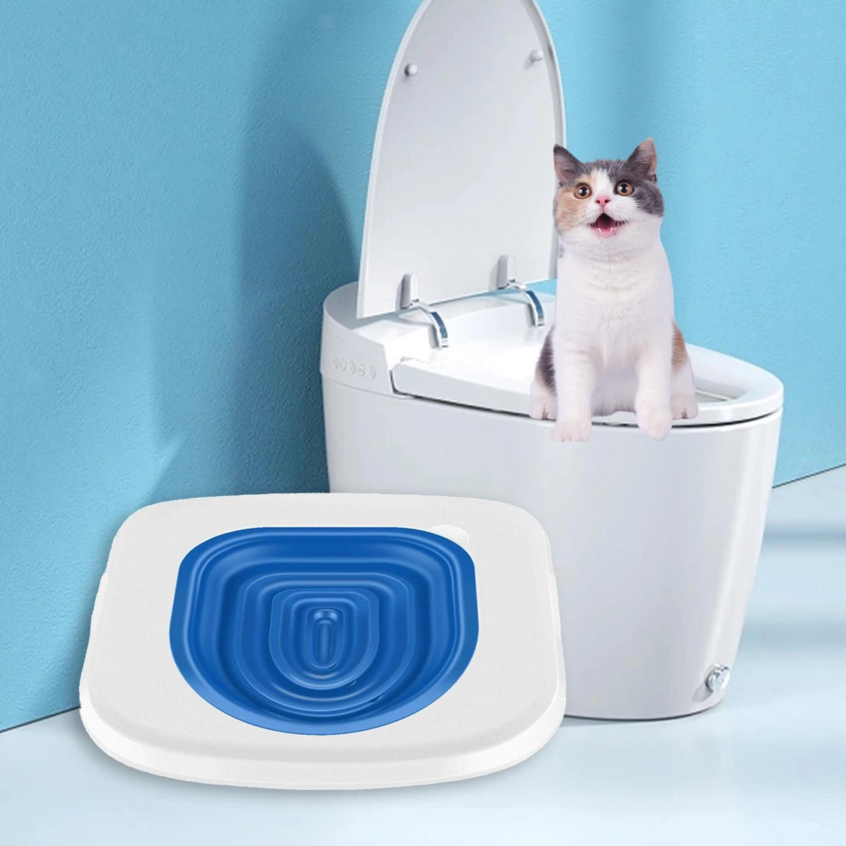 Train your cat 2025 to use the toilet