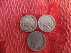 Three Buffalo “Indian Head” nickels    1937   P  D  S