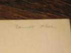 Picture 5 of 12