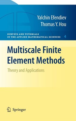 Multiscale Finite Element Methods | Thomas Y. Hou (u. a.) | Taschenbuch | xii
