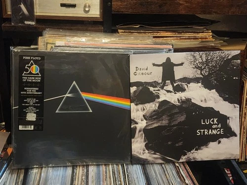 Vinyl Lot Pink Floyd  Dark Side of The Moon, David Gilmour Luck And Strange Lp