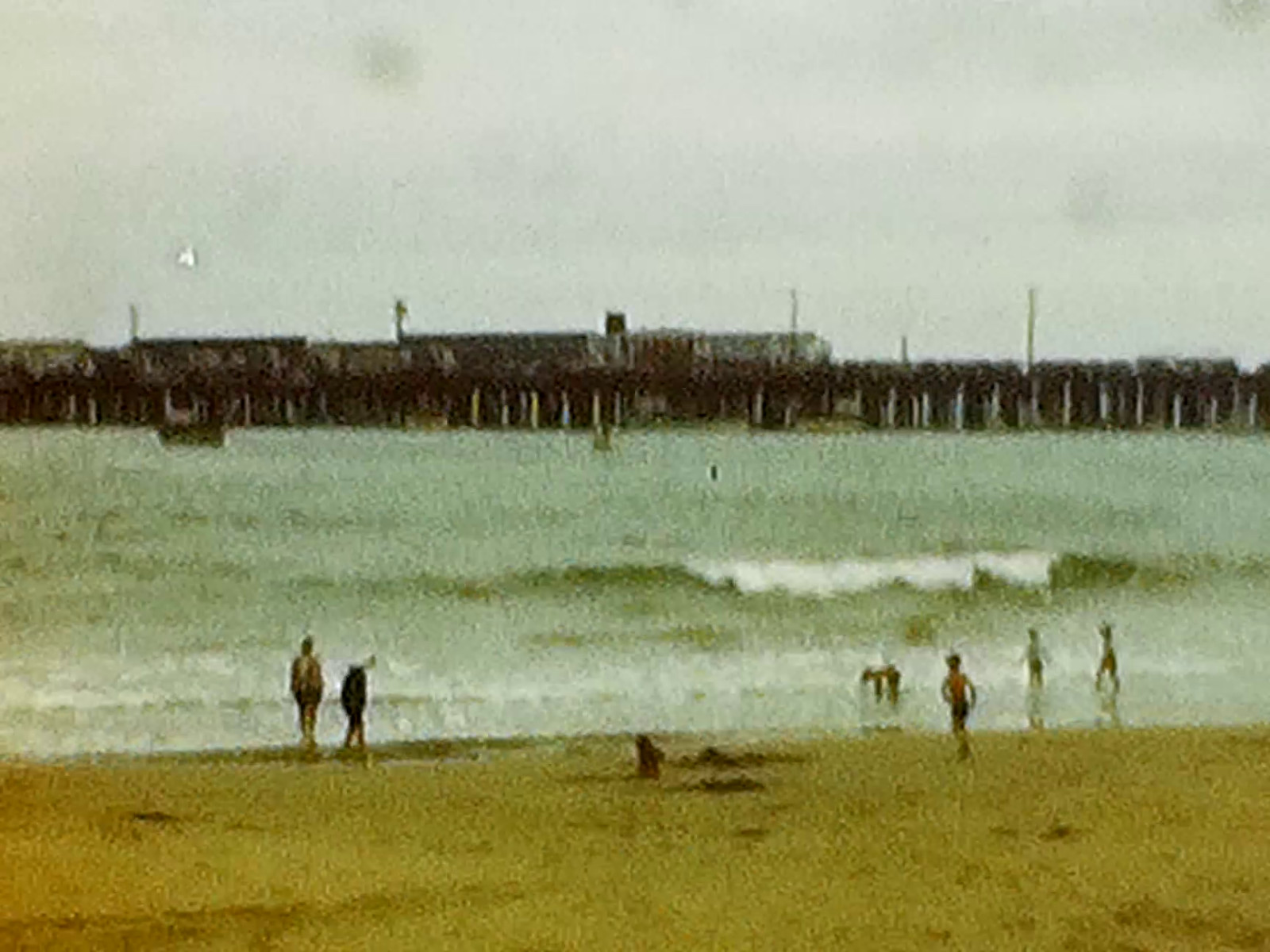 8mm Film 1949 Santa Cruz Beach Boardwalk 1940s Home Movie California People