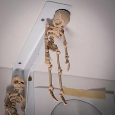 Magnetic Poseable Skull Fridge Magnet Funny Halloween Kitchen Decor Gift
