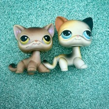 Hasbro LPS Littlest Pet Shop Lot 2 Shorthair Cats Calico Main Fives 5 19 106