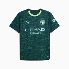 Puma Manchester City 25/26 4TH Jersey Replica