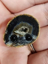 Agate Geode Specimen Mini Groot Rock Critter Druzy Pocket