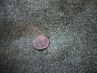 Bild 10 von 10