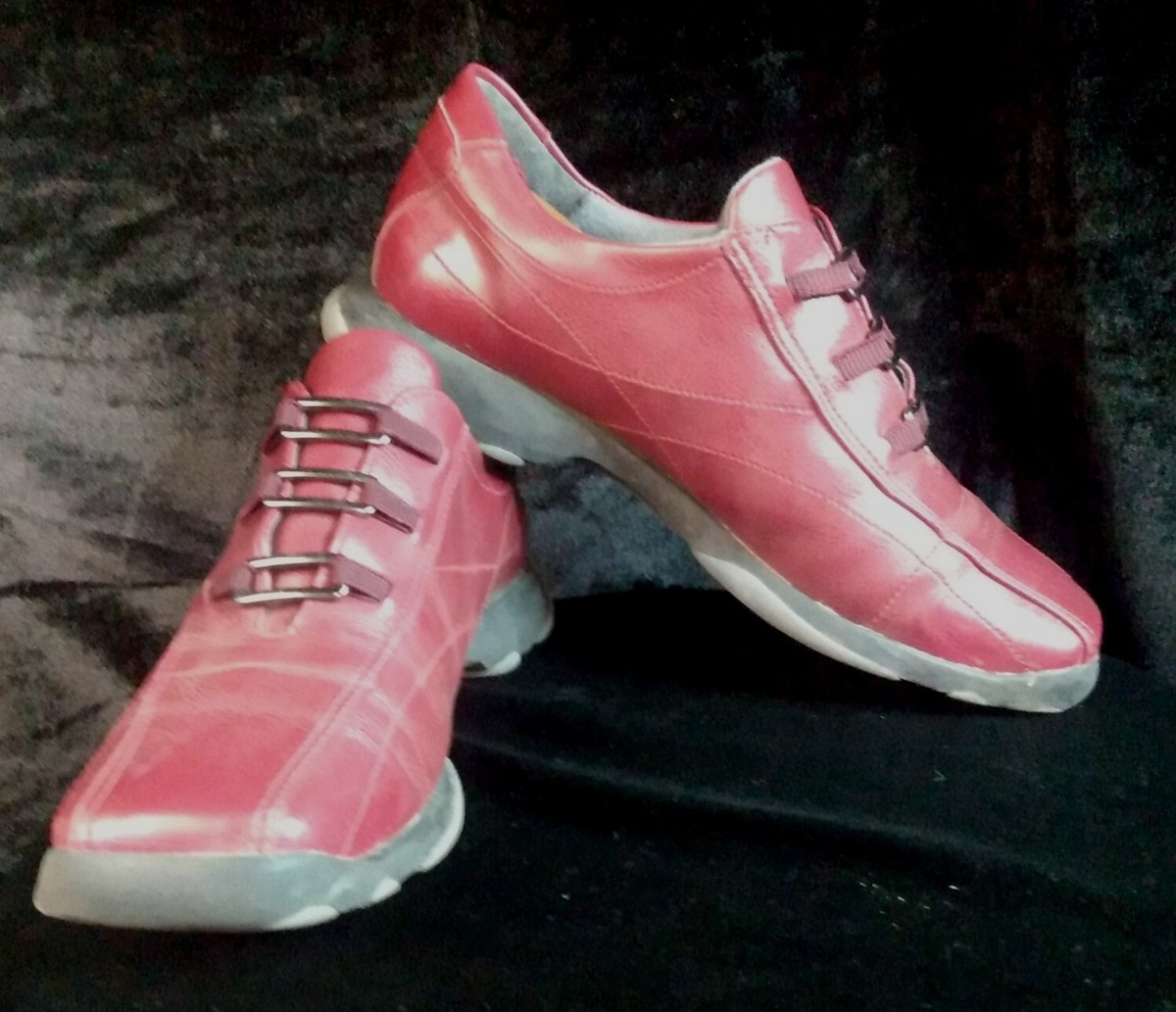 Azaleia Brazilian Azaleia Brasil Azalea Flower City Moji Mirim