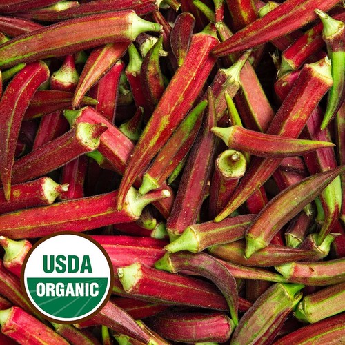50 Organic Red Burgundy Okra Seeds - Everwilde Farms Mylar Seed Packet - Picture 3 of 3