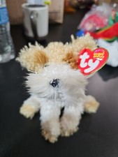 TY Beanie Baby - SCRAPPY the Dog 6 inch 