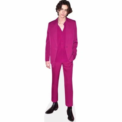 CELEBRITY CUTOUTS Timothee Chalamet (Purple Suit) Life Size Cutout