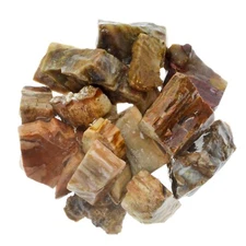 Petrified Wood - Rough Rocks for Tumbling -Wholesale Stone Crystal Mineral (Mad)