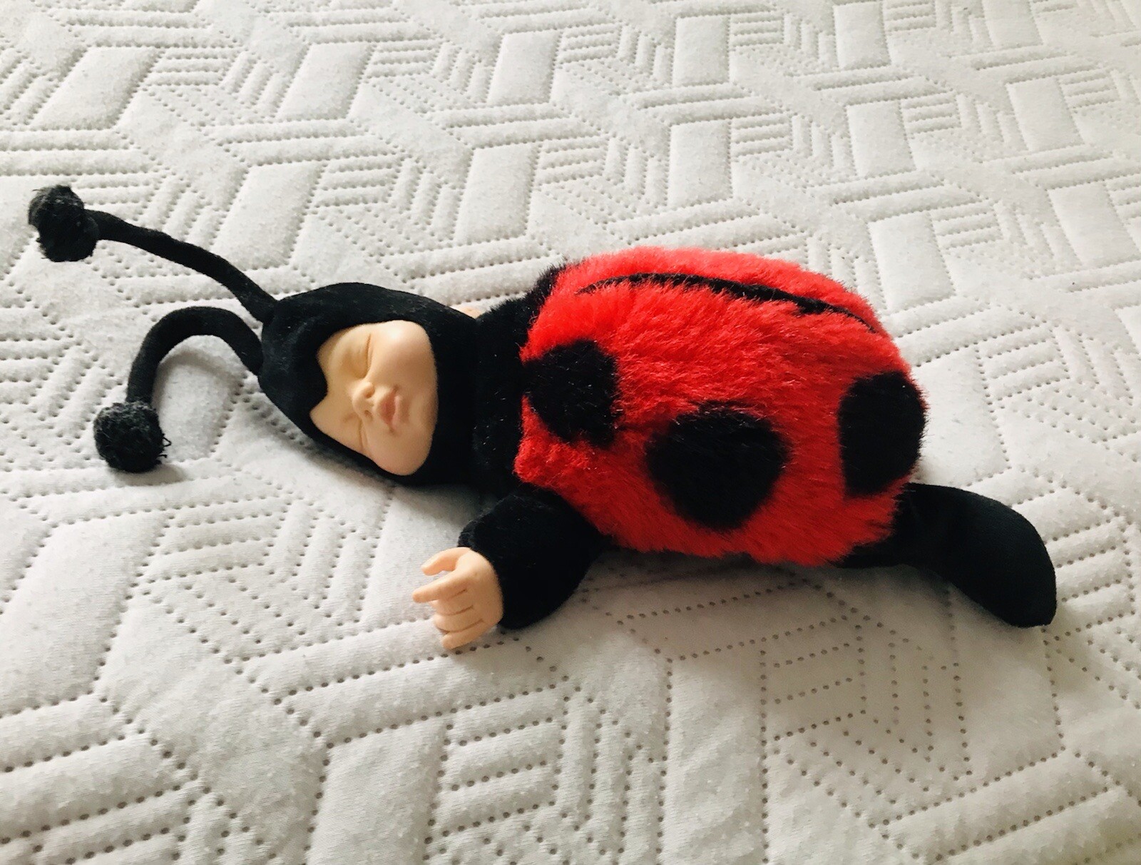 ladybird soft toy