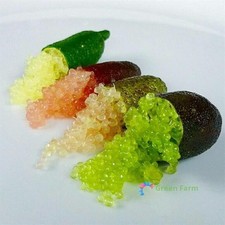 20 Semillas Citrus Australasica Finger Lime Pomegrante Citrus Vitamina Plantas Comestibles