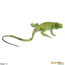Iguana Baby Incredible Creatures Figure Safari Ltd NEW IN STOCK