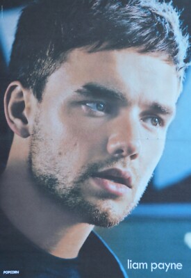 LIAM PAYNE - A3 Poster 42x28cm - RARE One Direction Clippings German Magazine
