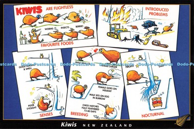 D250824 Neuseeland Kiwis New Zealand Souvenir Co Ltd Tiki Karte Multi View