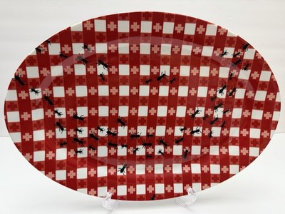 Pier 1 Checkers Oval Platter Red White Tablecloth With Ants 16  X 11  New