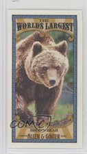 2021 Topps Allen & Ginter's Mini World's Largest Brown Bear #MWL-20 0t2