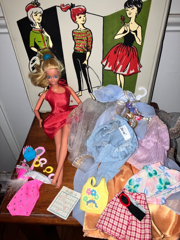 1983 BARBIE Western Winking 5711 Summer Party 4807 Soft Lacy Doll Case + more