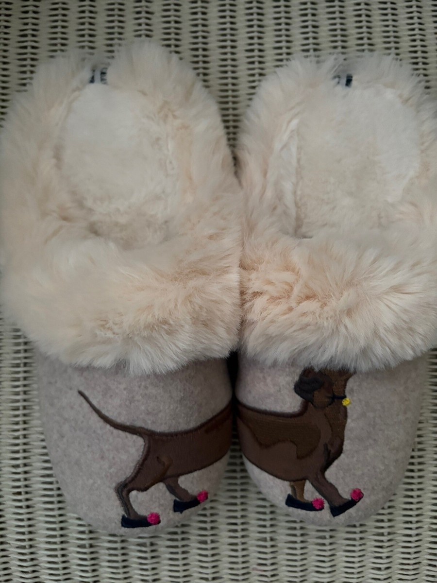 Winter Boots Wiener Dog Slippers Dachshunds Alldogboots Wiener Dog