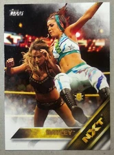 2016 Topps WWE Diva Bayley #7 NXT