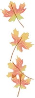 Jolee's Boutique Dimensional Sticker, Maple Leaf, New, Free Shipping Jolee's Boutique Dimensional Sticker, Maple Leaf, New, Free Shipping